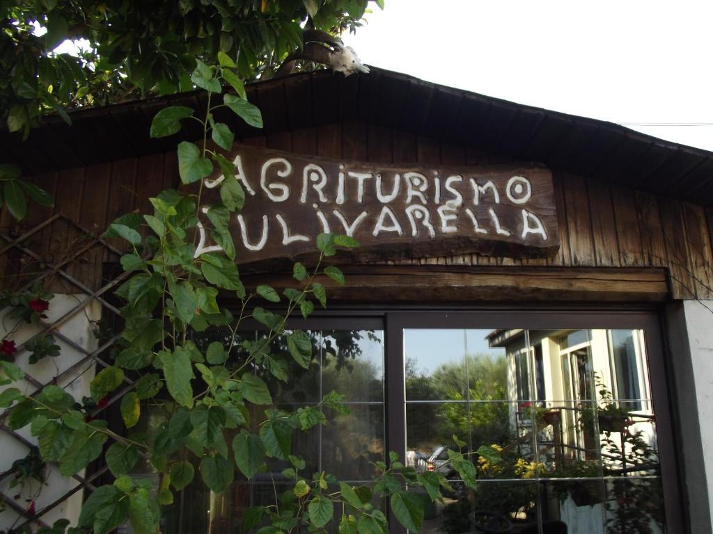 Farm stay Agriturismo Ulivarella Villa Velletri, Italy - book now, 2023  prices